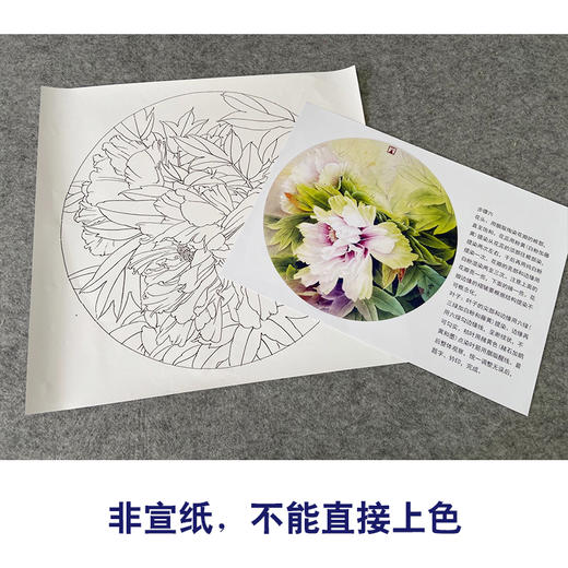 【有步骤、大彩图】龚雪青工笔画白描底稿圆形小品《小晴》牡丹初学者临摹花鸟线稿XQ91 商品图2
