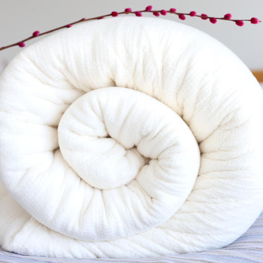 【床上用品】-8斤新疆棉花被酒店宿舍加厚保暖冬季棉被芯被子 商品图0