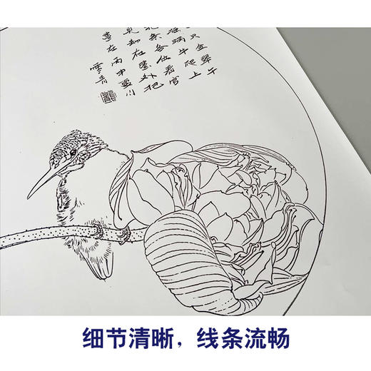 【有步骤】龚雪青工笔画白描底稿圆形小品《荷花翠鸟图》初学者临摹花鸟线稿XQ88 商品图4