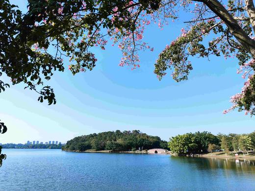 户外@【松山湖异木棉】行摄东莞松山湖异木棉，打卡东莞“小天池”&华为欧洲小镇 1天 商品图2