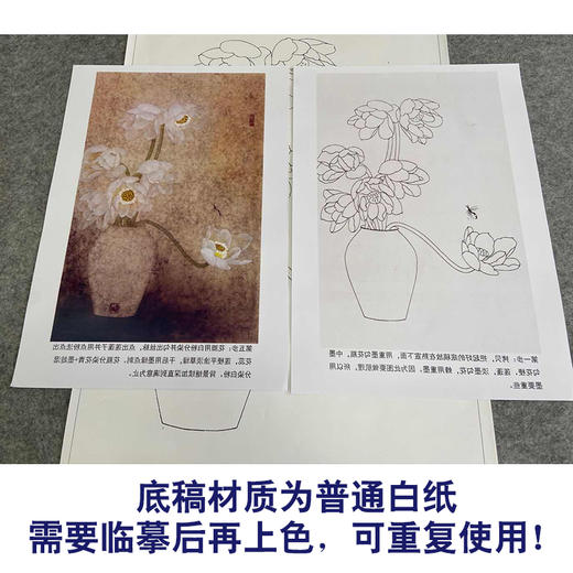 【有步骤】龚雪青竖幅工笔画白描底稿《幽香图》荷花初学者临摹花鸟线稿XQ87 商品图3