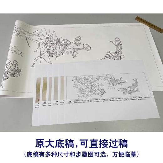 【有步骤、大彩图】龚雪青横幅工笔画白描底稿芙《荣华有余图》蓉鲤鱼图初学者临摹花鸟线稿XQ96 商品图1