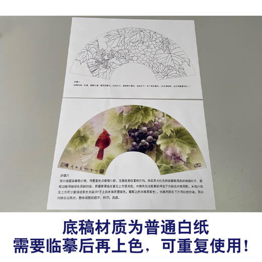 【有步骤】龚雪青工笔画白描底稿扇面小品《葡萄红雀图》初学者临摹花鸟线稿XQ89 商品图3