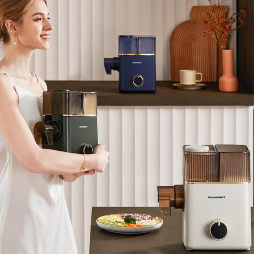 德国蓝宝灌肠绞肉机家用电动多功能绞馅碎菜全自动切丝切片肉馅料理机 商品图1