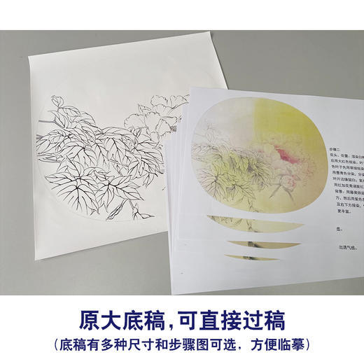 【有步骤】龚雪青工笔画白描底稿圆形小品《轻纱漫天》牡丹图初学者临摹花鸟线稿XQ94 商品图1