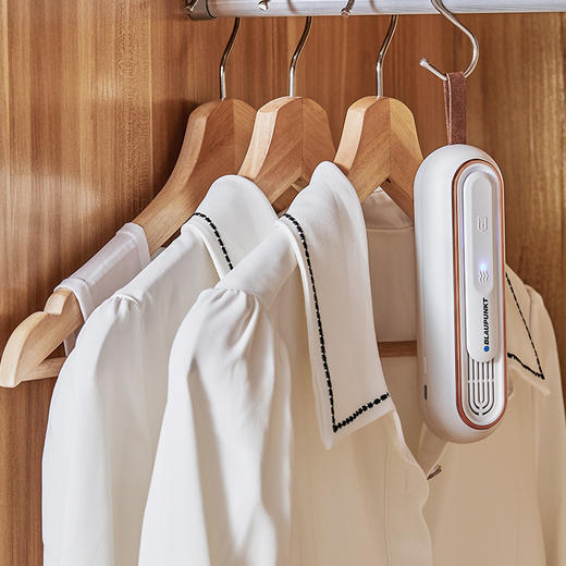 德国蓝宝家用便携抑菌净味器净化保鲜除味器杀菌臭氧机去味除臭棒除异味神器 商品图3