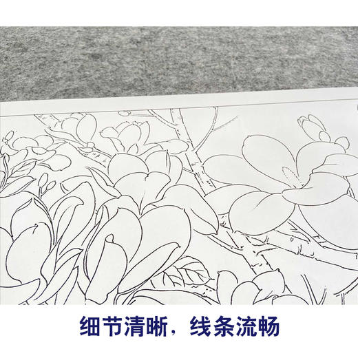 【有步骤、大彩图】龚雪青横幅工笔画白描底稿《玉堂锦致图》鲤鱼玉兰花初学者临摹花鸟线稿XQ97 商品图4