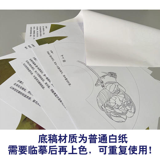 【有步骤】龚雪青工笔画白描底稿扇面小品《荷花翠鸟图》初学者临摹花鸟线稿XQ92 商品图3
