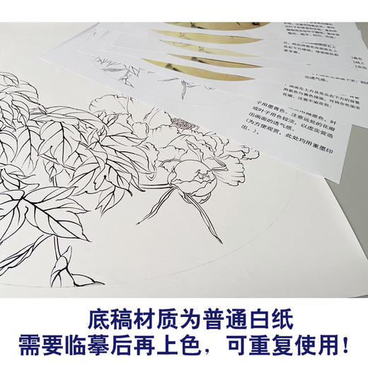 【有步骤】龚雪青工笔画白描底稿圆形小品《轻纱漫天》牡丹图初学者临摹花鸟线稿XQ94 商品图3