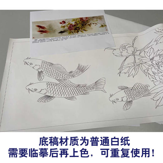 【有步骤、大彩图】龚雪青横幅工笔画白描底稿《富贵多来图》牡丹鲤鱼图初学者临摹花鸟线稿XQ95 商品图3
