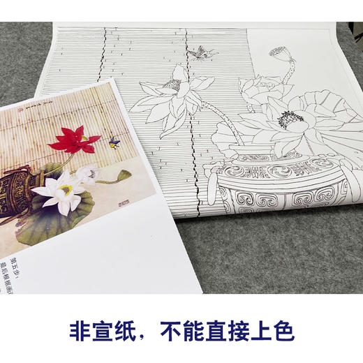 【有步骤】龚雪青工笔画白描底稿斗方小品《清夏》荷花蝴蝶初学者临摹花鸟线稿XQ84 商品图2