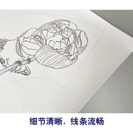 【有步骤】龚雪青工笔画白描底稿扇面小品《荷花翠鸟图》初学者临摹花鸟线稿XQ92 商品图4