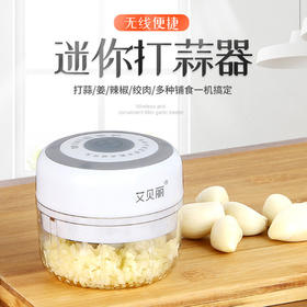 艾贝丽 | USB充电蒜蓉机SR01小家电