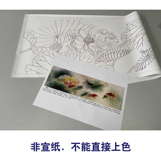 【有步骤、大彩图】龚雪青横幅工笔画白描底稿《连年有余图》荷花鲤鱼图初学者临摹花鸟线稿XQ98 商品图2