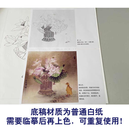 【有步骤】龚雪青工笔画白描底稿斗方小品《鸭趣图》荷花雏鸭初学者临摹花鸟线稿XQ86 商品图3
