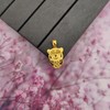 5G足金吊坠（老虎）,2.7克,工费:25元/克 商品缩略图0