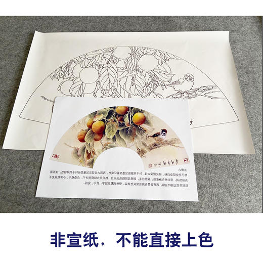 【有步骤、大彩图】龚雪青工笔画白描底稿扇面小品《雀柿如意》柿子麻雀初学者临摹花鸟线稿XQ90 商品图2