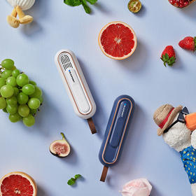 德国蓝宝家用便携抑菌净味器净化保鲜除味器杀菌臭氧机去味除臭棒除异味神器