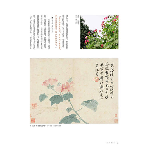 紫禁城杂志订阅 2021年11月号 顺时体物 中国古代的月令物候变化 故宫敦煌特展 商品图2