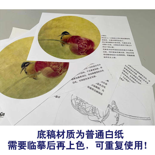 【有步骤】龚雪青工笔画白描底稿圆形小品《荷花翠鸟图》初学者临摹花鸟线稿XQ88 商品图3