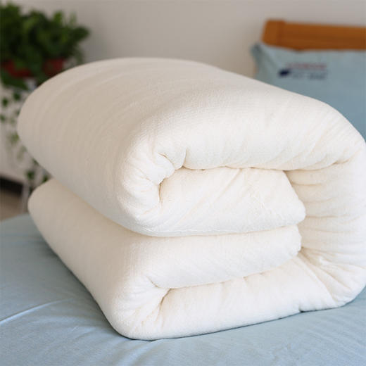 【床上用品】新疆棉被6斤棉花被子 单双人学生被芯垫被棉胎 商品图2