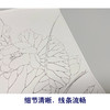 【有步骤】龚雪青工笔画白描底稿《博古瓶花》花瓶荷花初学者临摹花鸟线稿XQ82 商品缩略图4