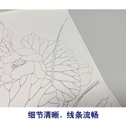 【有步骤】龚雪青工笔画白描底稿《博古瓶花》花瓶荷花初学者临摹花鸟线稿XQ82 商品图4