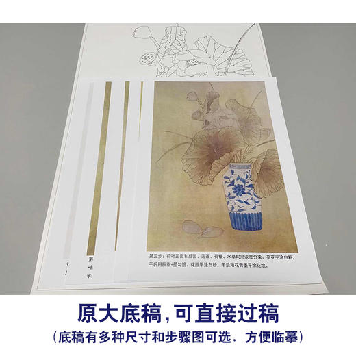 【有步骤】龚雪青工笔画白描底稿《博古瓶花》花瓶荷花初学者临摹花鸟线稿XQ82 商品图1