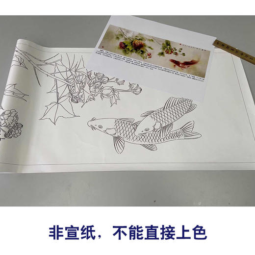 【有步骤、大彩图】龚雪青横幅工笔画白描底稿芙《荣华有余图》蓉鲤鱼图初学者临摹花鸟线稿XQ96 商品图2