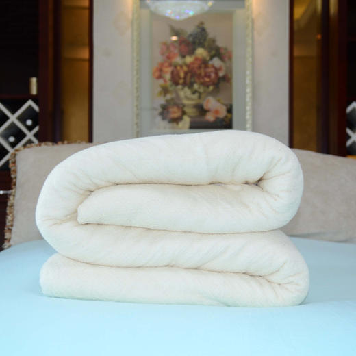 【床上用品】-新疆棉花被芯被子棉被棉絮褥子 加厚秋冬盖被 商品图3