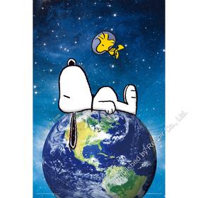 一起爱地球/300片