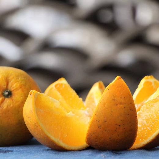 生态武夷山脐橙 | 公平贸易 |*Eco Wuyishan Navel Orange 商品图3