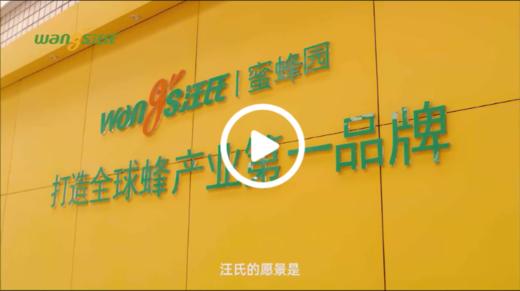 汪氏品牌介绍 商品图0