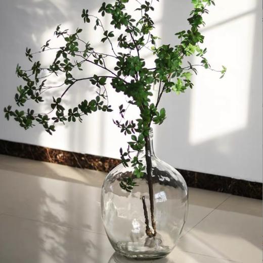 北欧简约吊钟日本马醉木专用花瓶玻璃 商品图7