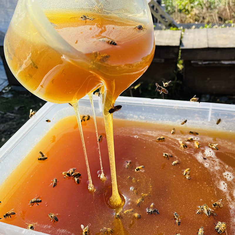 五味子土蜂蜜，传统古法割蜜，物理压榨，保持了蜂蜜原有的口感和营养价值