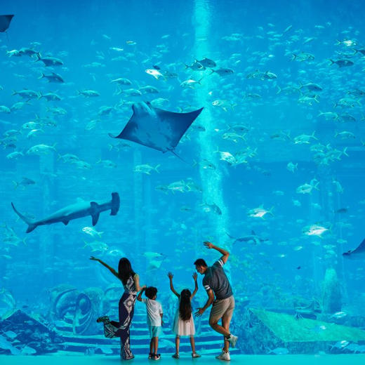 5天4晚【海南万宁寒假亲子营】嗨玩亚特兰蒂斯水世界&水族馆！体验桨板穿越雨林秘境、冲浪浮潜、轻奢住宿、特别赠送海边下午茶及接机服务等，充实过亲子假期！ 商品图11