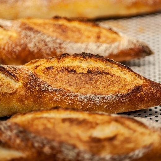 短法棍【T65法国粉鲁邦种天然酵母，健身减脂推荐】 商品图1