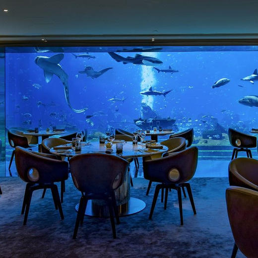 5天4晚【海南万宁寒假亲子营】嗨玩亚特兰蒂斯水世界&水族馆！体验桨板穿越雨林秘境、冲浪浮潜、轻奢住宿、特别赠送海边下午茶及接机服务等，充实过亲子假期！ 商品图12