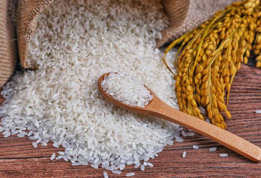 平浪 | 凯口野香优 稻花香生态新米 散装5斤/10斤 商品图3