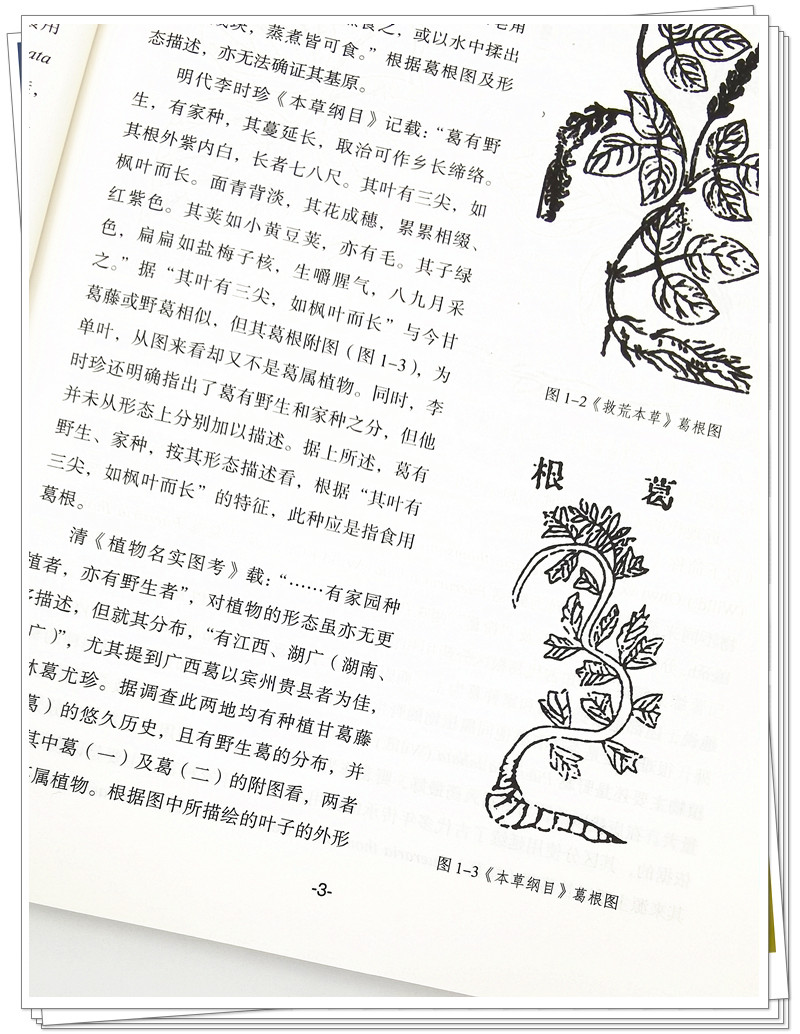 IMG_20211128_104538_副本.jpg