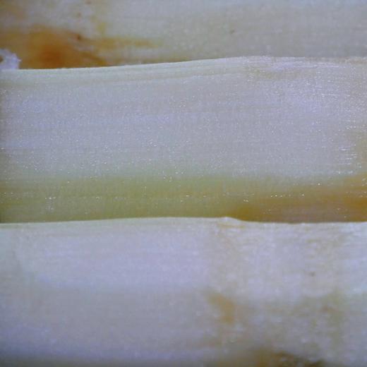 生态武夷山甘蔗 | 下单3天左右发货 | 公平贸易 | 基地直发* Sugar Cane | Coproducted 商品图1