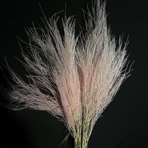 永生花材 ｜ 石草樱花粉 商品图0