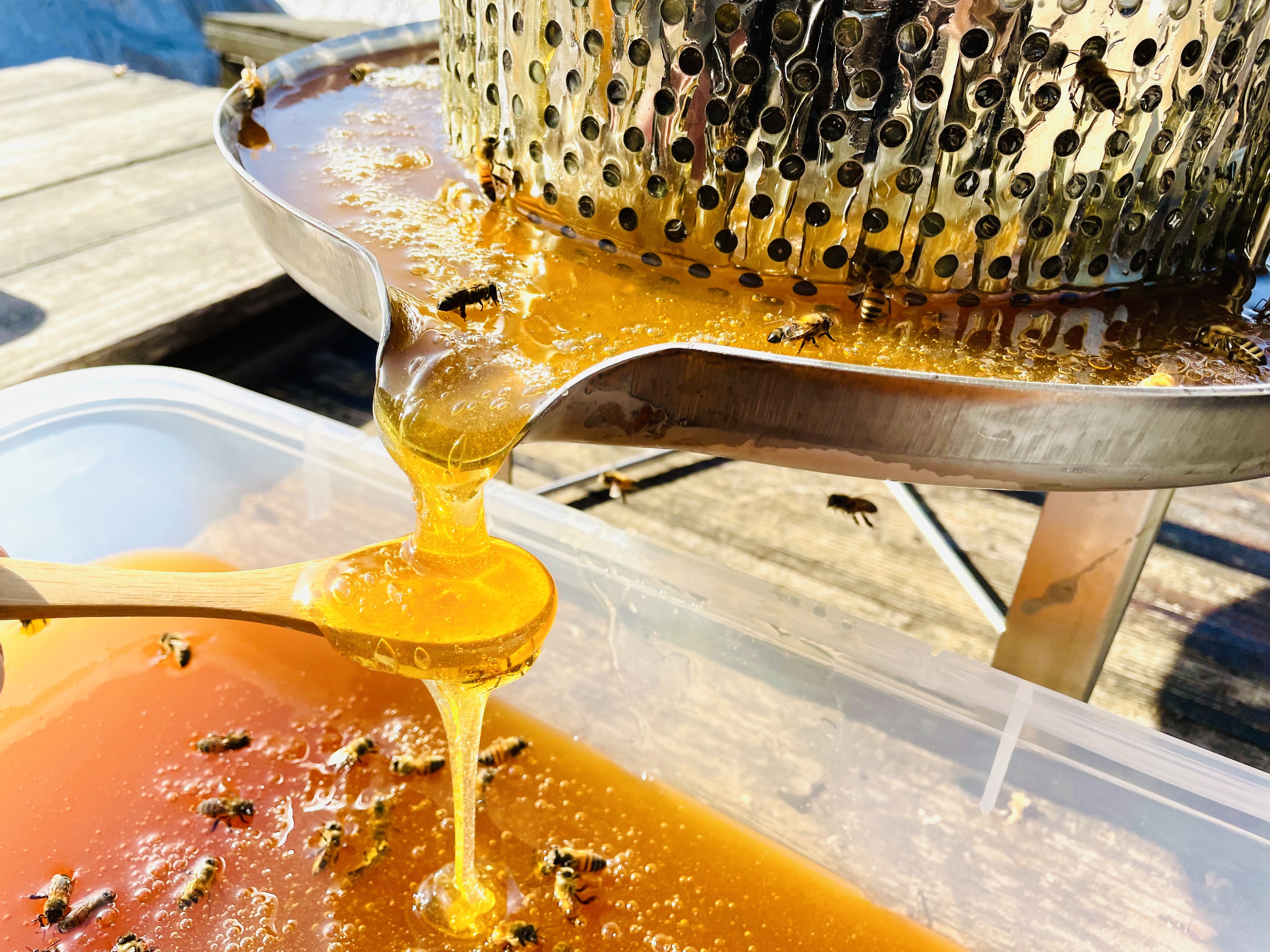 五味子加蜂蜜的功效与作用及禁忌症有哪些(五味子和蜂蜜的功效)