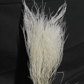 永生花材 ｜ 石草皓月白