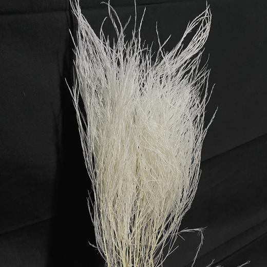 永生花材 ｜ 石草皓月白 商品图0