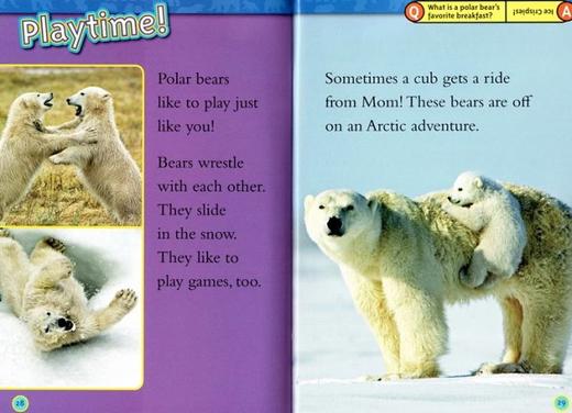 【宝莉爹书单·5-8岁】一阶段23册 美国国家地理分级阅读 National Geographic Kids Readers L1 英文原版儿童百科书动物科技系列 全彩儿童分级读物 商品图8