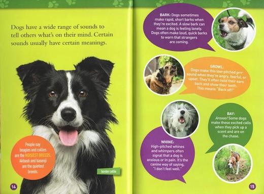 【宝莉爹书单·7-15】三阶段25册 美国国家地理分级阅读 National Geographic Kids Readers L3 英文原版 百科动物系列 儿童分级读物动物自然百科 商品图3