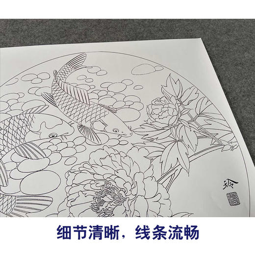 【有步骤、大彩图】郑玲玲工笔画白描底稿圆形小品《清水碧影》牡丹鲤鱼初学者临摹花鸟线稿ZL22 商品图4