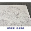 【有步骤、大彩图】郑玲玲工笔画白描底稿圆形小品《牡丹鲤鱼图》初学者临摹花鸟线稿ZL10 商品缩略图4