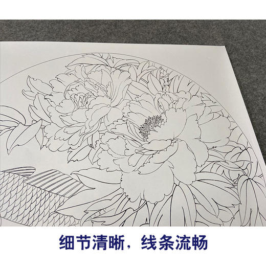 【有步骤、大彩图】郑玲玲工笔画白描底稿圆形小品《牡丹鲤鱼图》初学者临摹花鸟线稿ZL10 商品图4